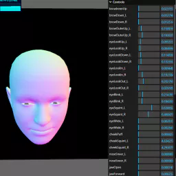 morphtargets_webcam