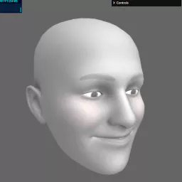 morphtargets_face