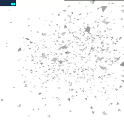 gpgpu_birds