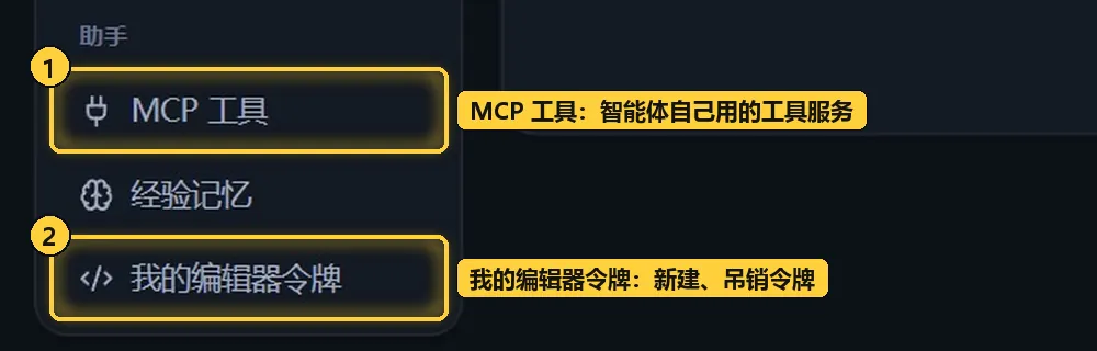 设置里的「我的编辑器令牌」
